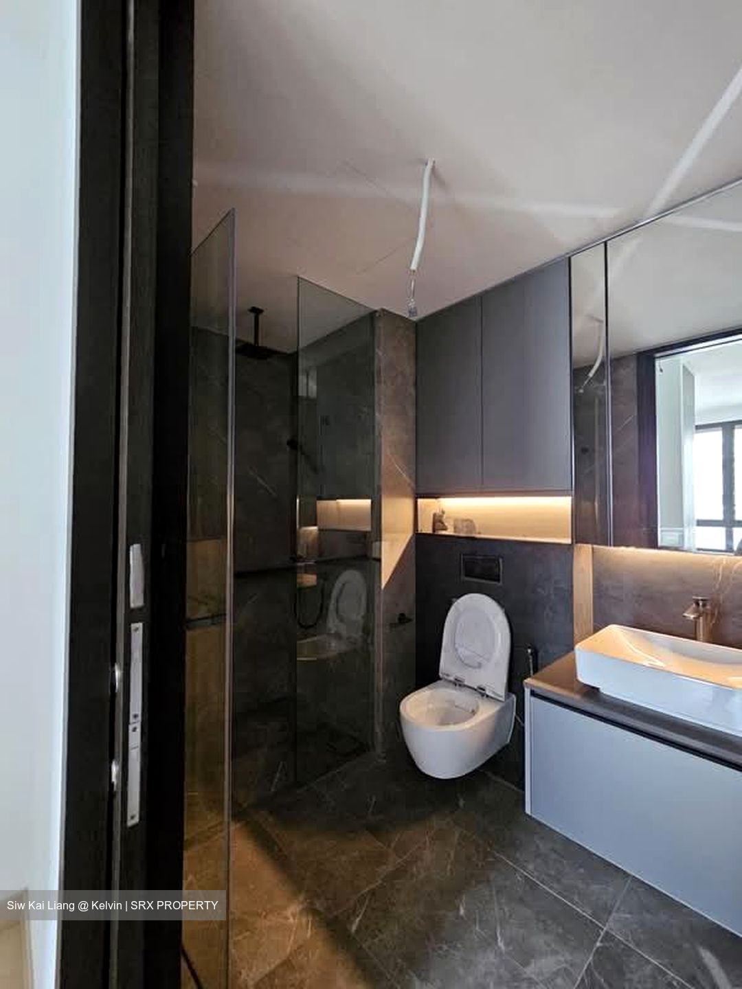 Irwell Hill Residences (D9), Apartment #557956291